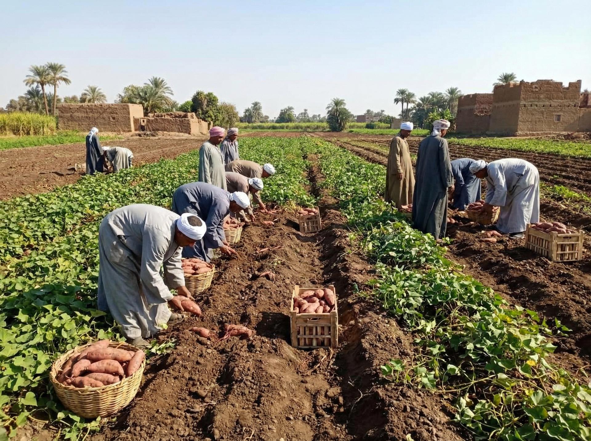 German Cars Import - BMW Mercedes Audi